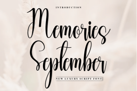 Memories September: A Warm Font for Your Brand